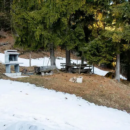 Planina Forest, 1070m Altitude Ljubno