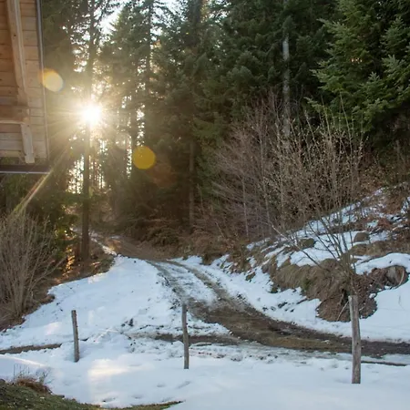 Planina Forest, 1070m Altitude Chalet Ljubno