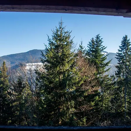 Planina Forest, 1070m Altitude *
